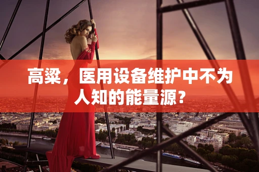 高粱，医用设备维护中不为人知的能量源？