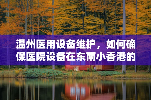 温州医用设备维护，如何确保医院设备在东南小香港的精准高效运行？