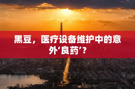 黑豆，医疗设备维护中的意外‘良药’？