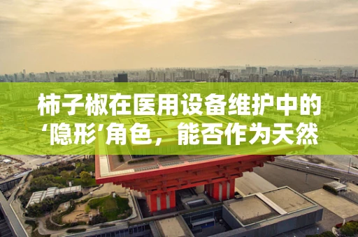 柿子椒在医用设备维护中的‘隐形’角色，能否作为天然防腐剂？