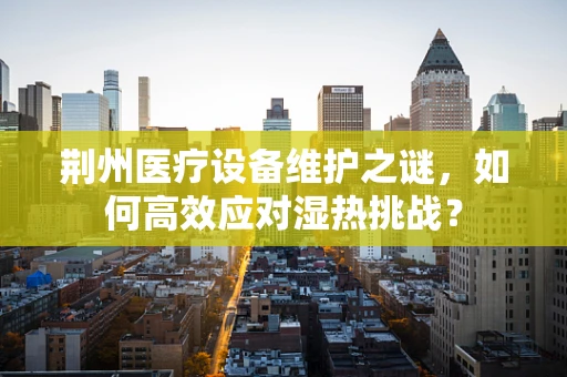 荆州医疗设备维护之谜，如何高效应对湿热挑战？