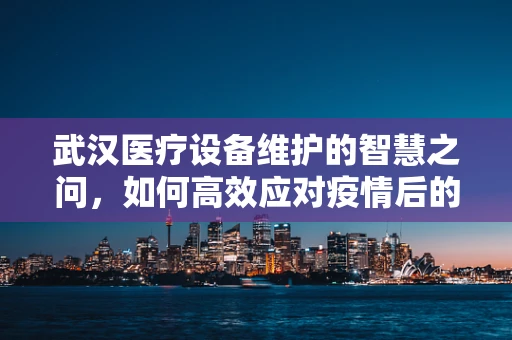 武汉医疗设备维护的智慧之问，如何高效应对疫情后的复苏挑战？