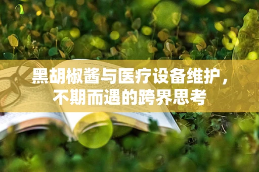 黑胡椒酱与医疗设备维护，不期而遇的跨界思考