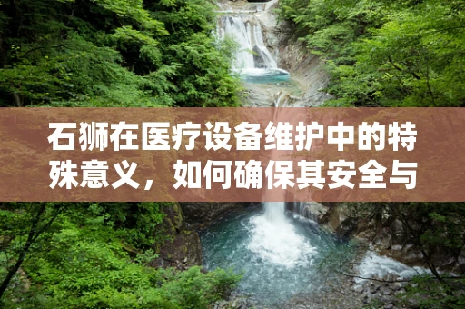 石狮在医疗设备维护中的特殊意义，如何确保其安全与高效？