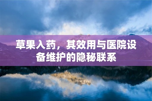 草果入药，其效用与医院设备维护的隐秘联系