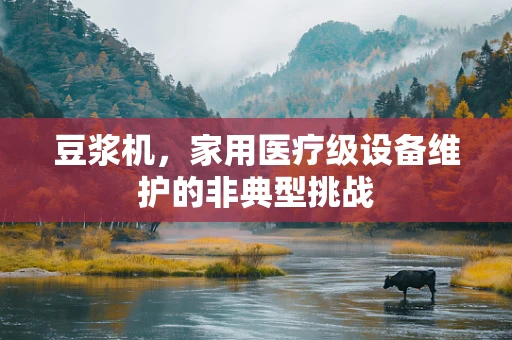 豆浆机，家用医疗级设备维护的非典型挑战