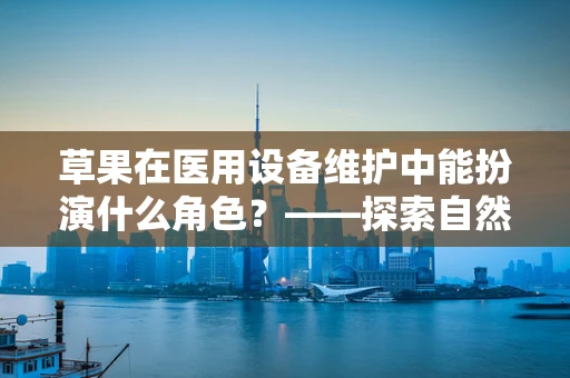 草果在医用设备维护中能扮演什么角色？——探索自然界的意外之用