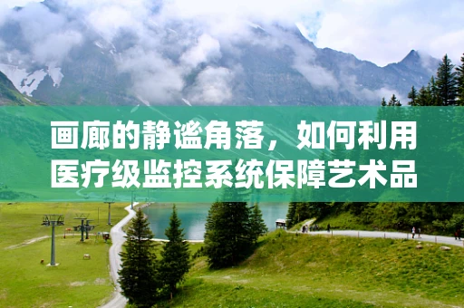 画廊的静谧角落，如何利用医疗级监控系统保障艺术品安全？
