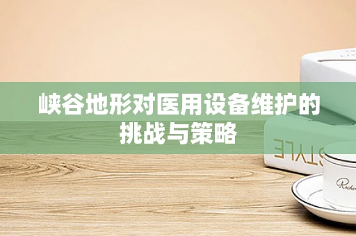峡谷地形对医用设备维护的挑战与策略