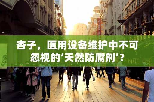 杏子，医用设备维护中不可忽视的‘天然防腐剂’？