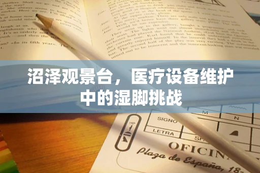 沼泽观景台，医疗设备维护中的湿脚挑战
