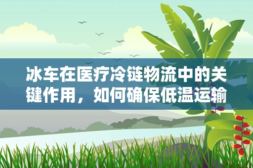 冰车在医疗冷链物流中的关键作用，如何确保低温运输的稳定与安全？