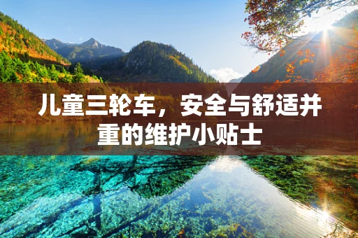 儿童三轮车，安全与舒适并重的维护小贴士