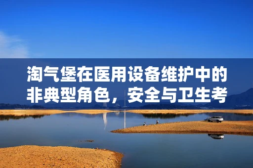 淘气堡在医用设备维护中的非典型角色，安全与卫生考量