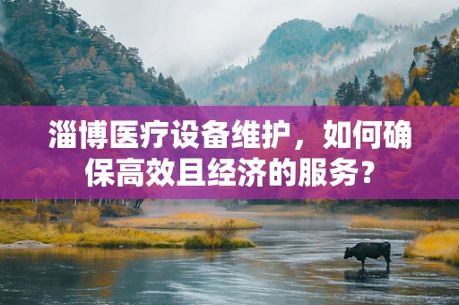 淄博医疗设备维护，如何确保高效且经济的服务？
