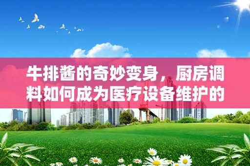 牛排酱的奇妙变身，厨房调料如何成为医疗设备维护的隐形帮手？