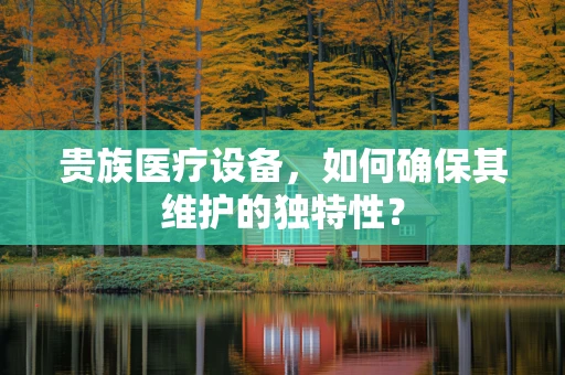贵族医疗设备，如何确保其维护的独特性？