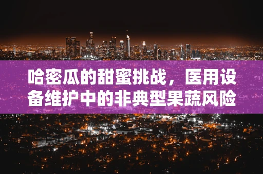 哈密瓜的甜蜜挑战，医用设备维护中的非典型果蔬风险