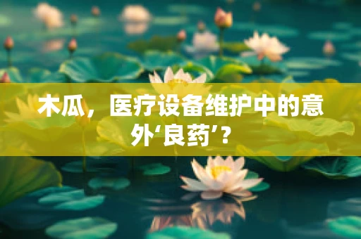 木瓜，医疗设备维护中的意外‘良药’？