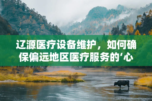辽源医疗设备维护，如何确保偏远地区医疗服务的‘心脏’持续跳动？
