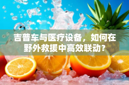 吉普车与医疗设备，如何在野外救援中高效联动？
