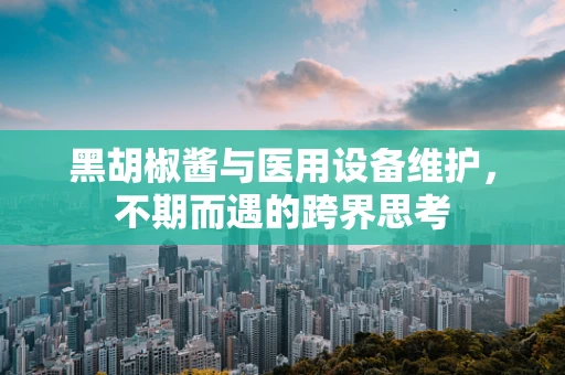 黑胡椒酱与医用设备维护，不期而遇的跨界思考