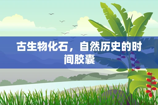 古生物化石，自然历史的时间胶囊