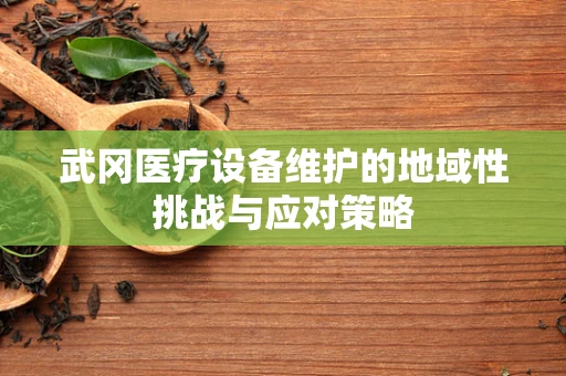武冈医疗设备维护的地域性挑战与应对策略