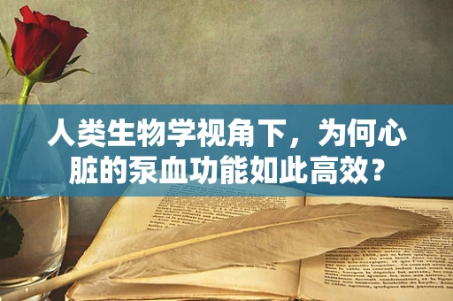 人类生物学视角下，为何心脏的泵血功能如此高效？