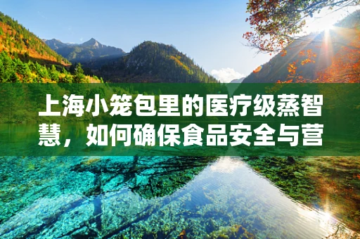 上海小笼包里的医疗级蒸智慧，如何确保食品安全与营养的完美融合？