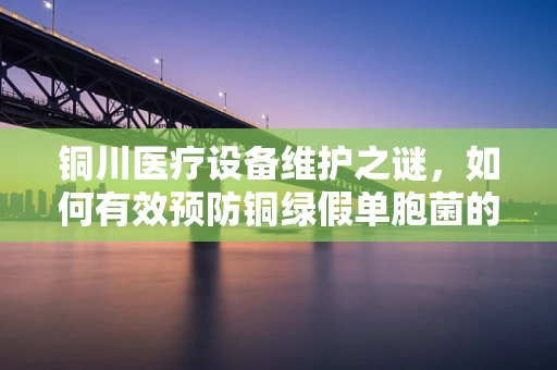 铜川医疗设备维护之谜，如何有效预防铜绿假单胞菌的滋生？