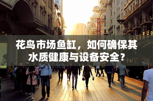 花鸟市场鱼缸，如何确保其水质健康与设备安全？