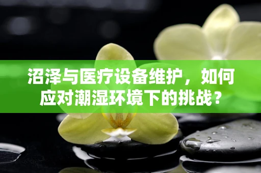 沼泽与医疗设备维护，如何应对潮湿环境下的挑战？