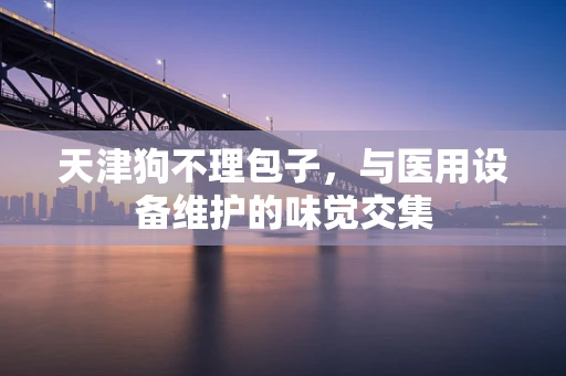 天津狗不理包子，与医用设备维护的味觉交集