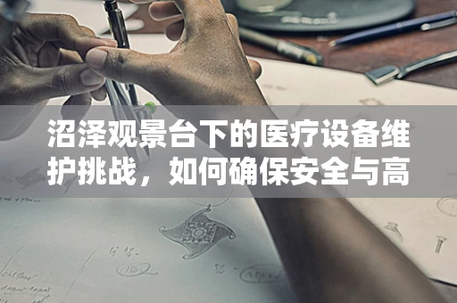 沼泽观景台下的医疗设备维护挑战，如何确保安全与高效？