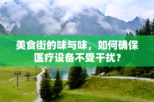 美食街的味与味，如何确保医疗设备不受干扰？
