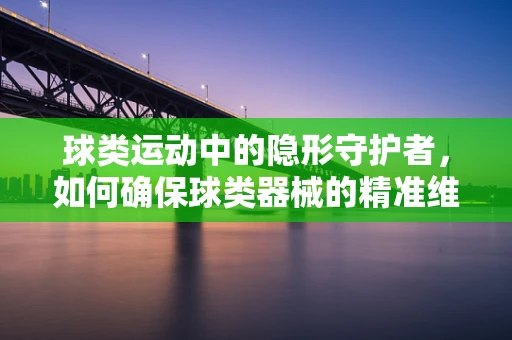球类运动中的隐形守护者，如何确保球类器械的精准维护？