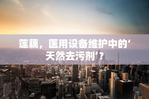 莲藕，医用设备维护中的‘天然去污剂’？