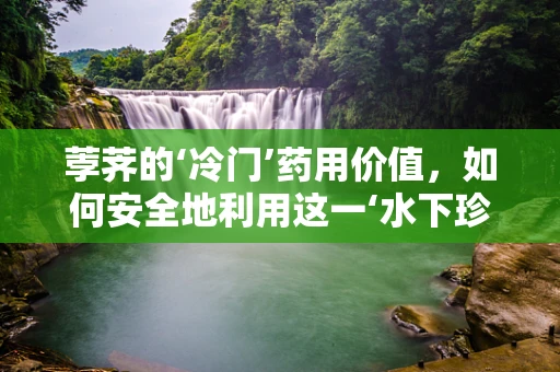 荸荠的‘冷门’药用价值，如何安全地利用这一‘水下珍珠’？