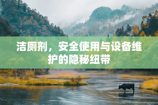 洁厕剂，安全使用与设备维护的隐秘纽带