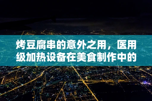 烤豆腐串的意外之用，医用级加热设备在美食制作中的科学考量