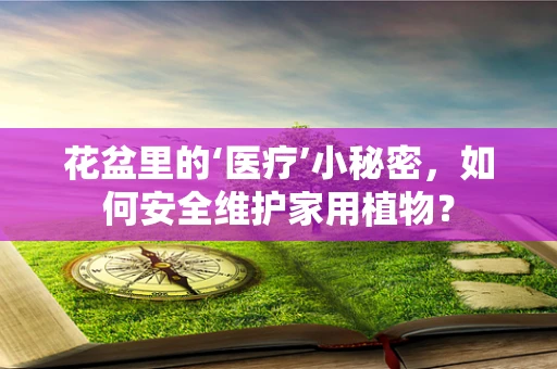 花盆里的‘医疗’小秘密，如何安全维护家用植物？