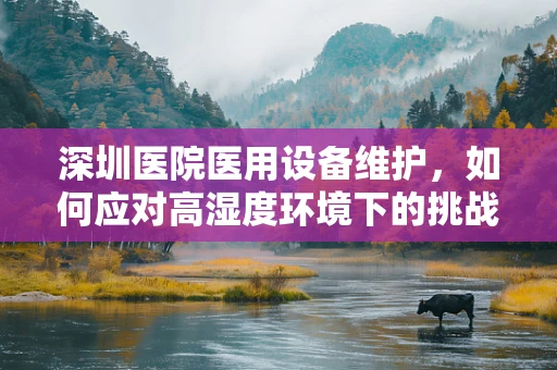 深圳医院医用设备维护，如何应对高湿度环境下的挑战？