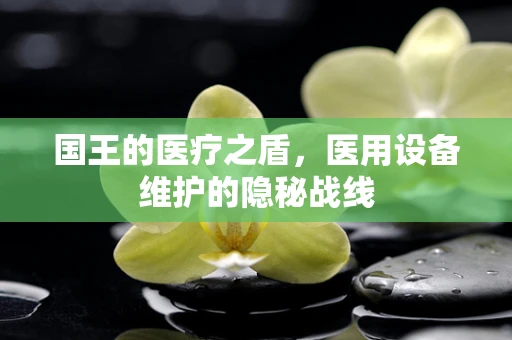国王的医疗之盾，医用设备维护的隐秘战线