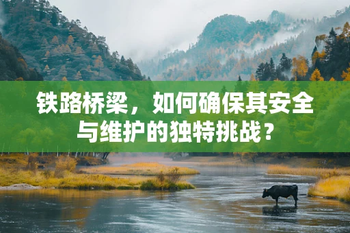 铁路桥梁，如何确保其安全与维护的独特挑战？
