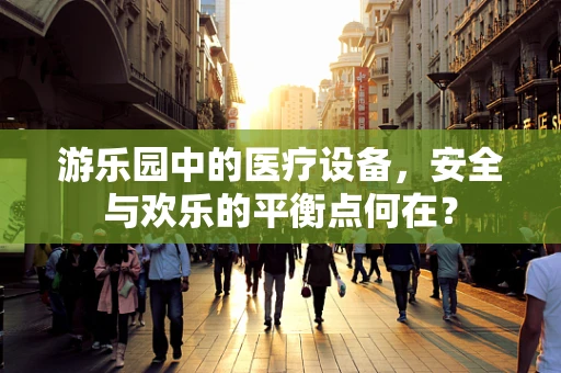 游乐园中的医疗设备，安全与欢乐的平衡点何在？