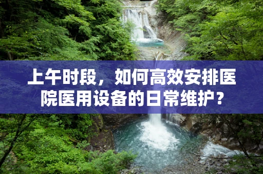 上午时段，如何高效安排医院医用设备的日常维护？