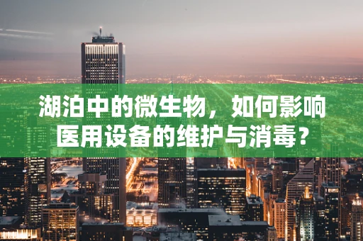 湖泊中的微生物，如何影响医用设备的维护与消毒？