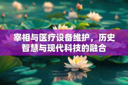 宰相与医疗设备维护，历史智慧与现代科技的融合