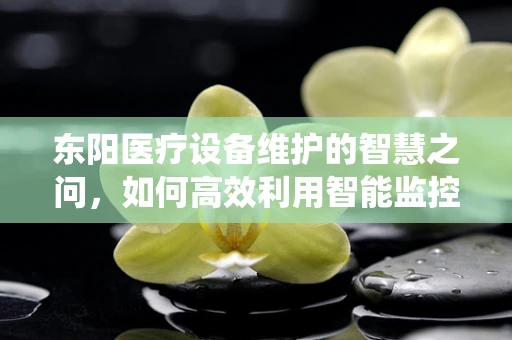 东阳医疗设备维护的智慧之问，如何高效利用智能监控系统提升设备维护效率？